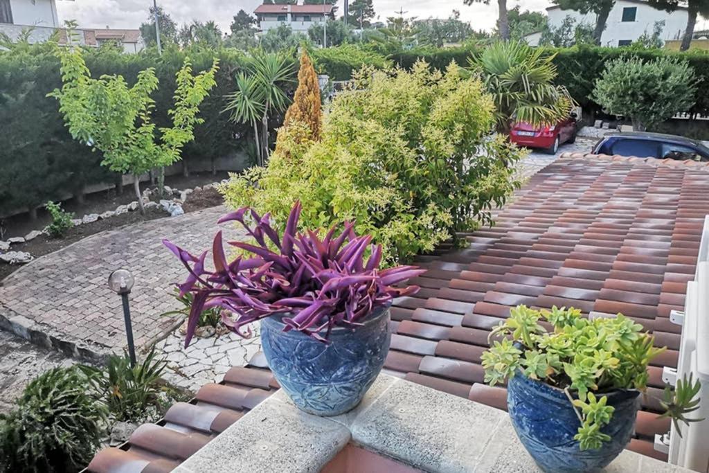Villa Arenella 비에스테 외부 사진